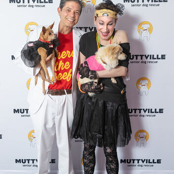 I Want My Mutt TV
