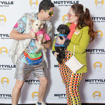 I Want My Mutt TV