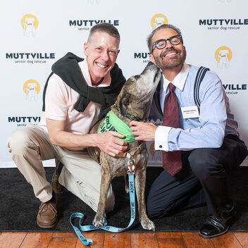 I Want My Mutt TV