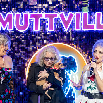 I Want My Mutt TV