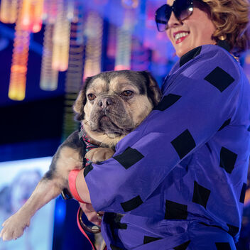 I Want My Mutt TV