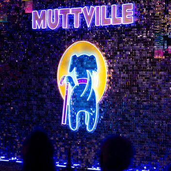I Want My Mutt TV