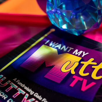 I Want My Mutt TV