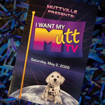 I Want My Mutt TV