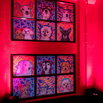 I Want My Mutt TV