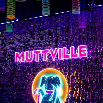 I Want My Mutt TV
