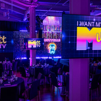 I Want My Mutt TV