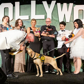 The Golden Age of Hollywoof