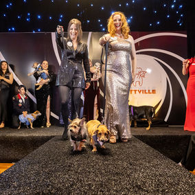 The Spy Who Loved Mutts