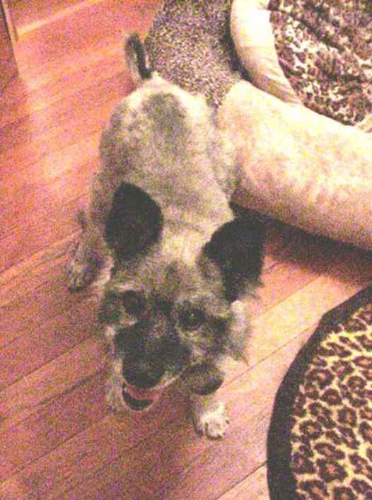 Malcolm