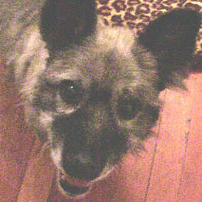Malcolm
