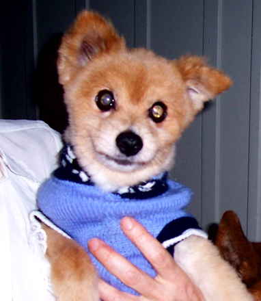 Benji