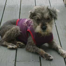 Maggie