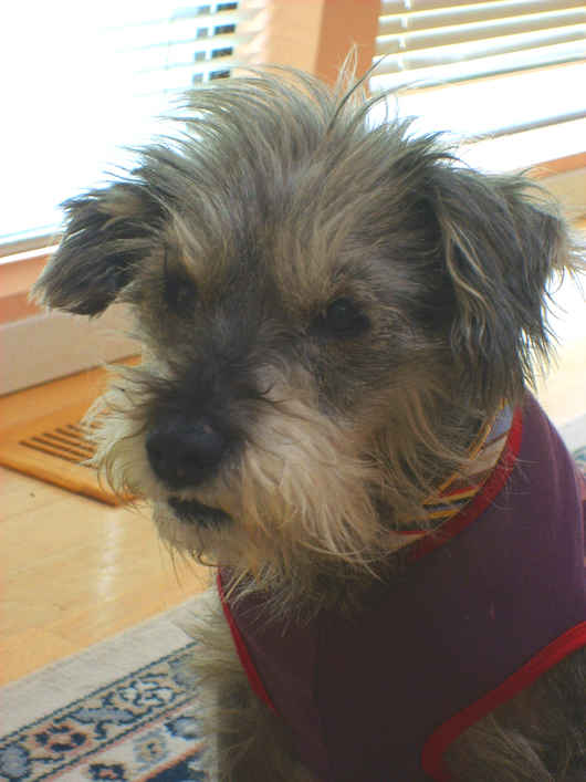 Maggie