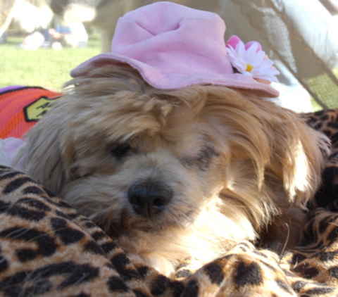 Minnie