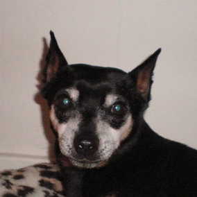 Melvin