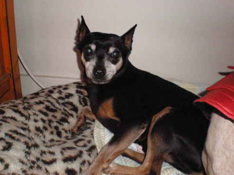 Melvin