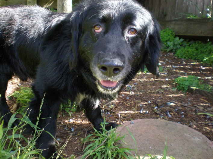 Charlie