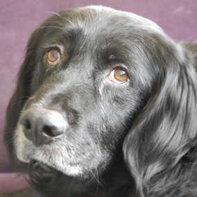 Charlie