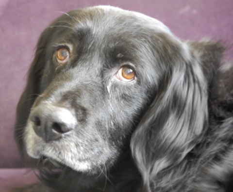 Charlie