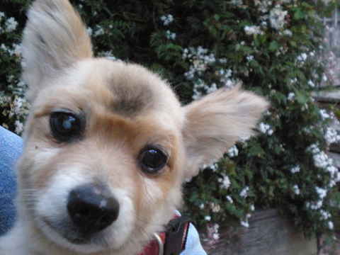Moby