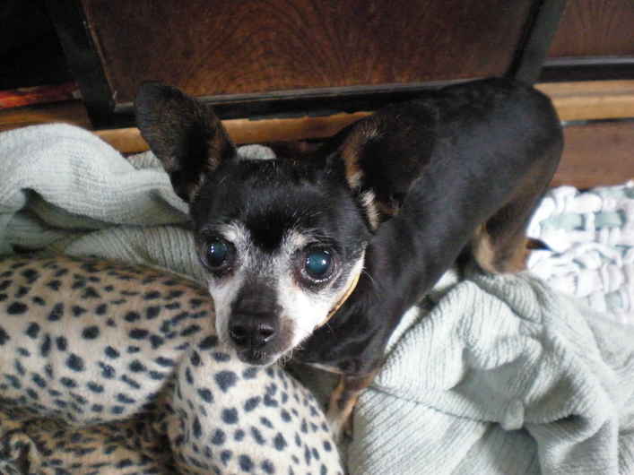 Oscar