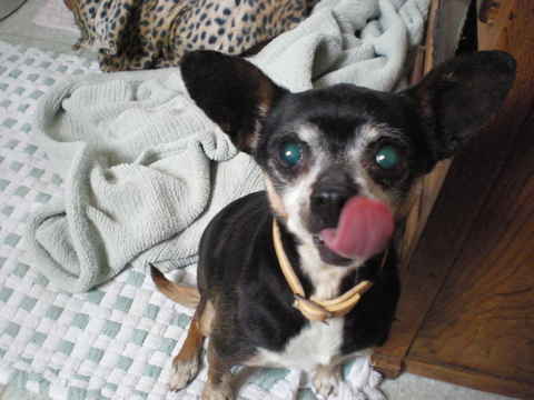 Oscar