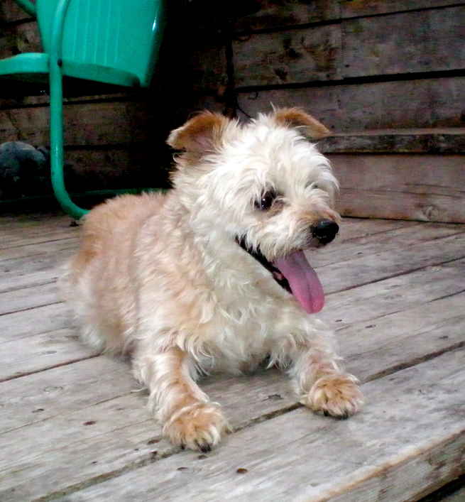 Maxine