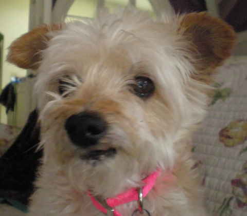 Maxine