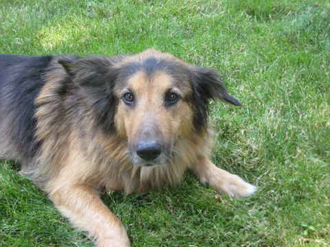 Annie 2