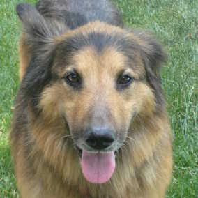 Annie 2