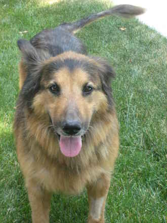 Annie 2