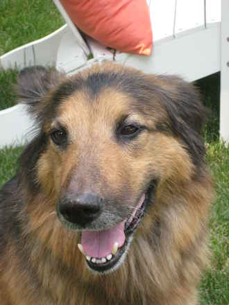 Annie 2
