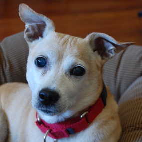 Tuffy 2