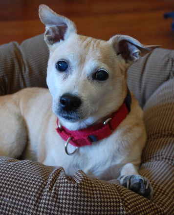 Tuffy 2