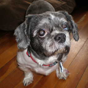 Pepper