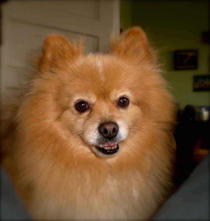 Rusty