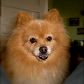 Rusty