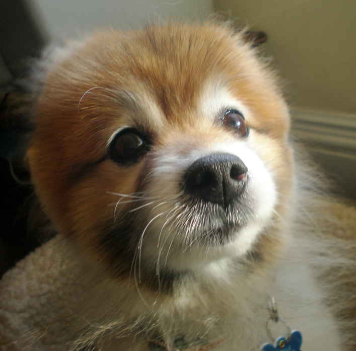 Buster2