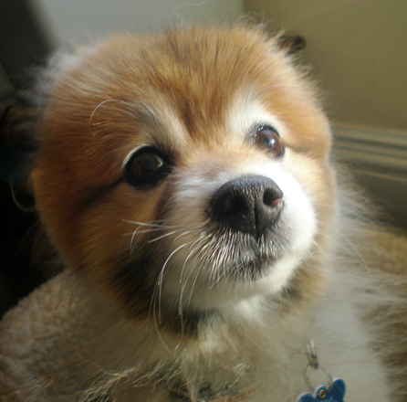 Buster2