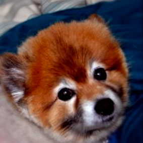 Buster2