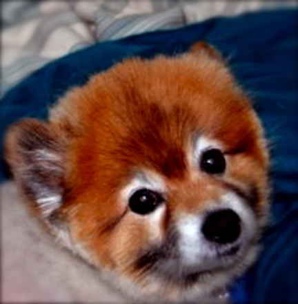 Buster2