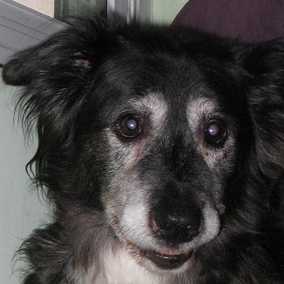 Miss Ruthie