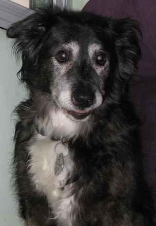 Miss Ruthie