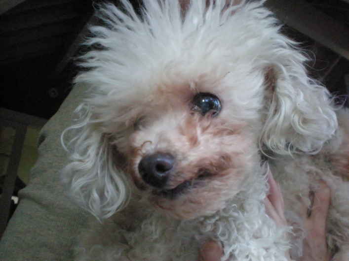 Samson