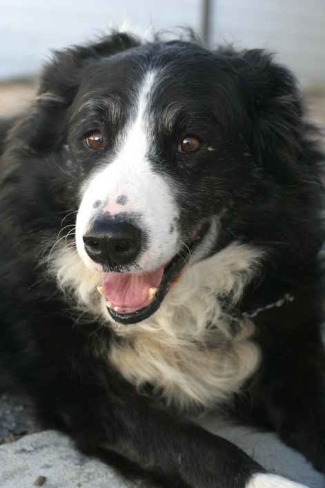 Ben