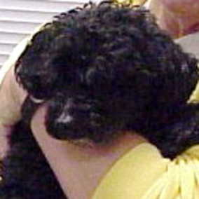 Chica