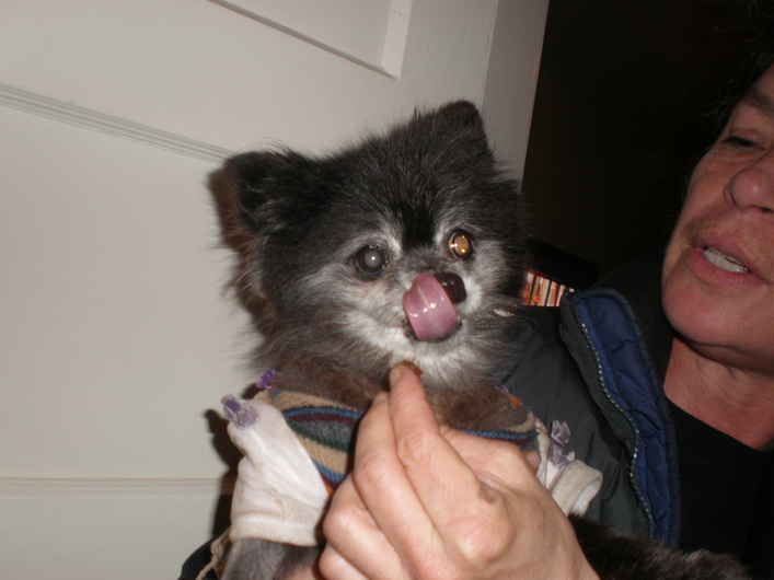 Tammy Faye
