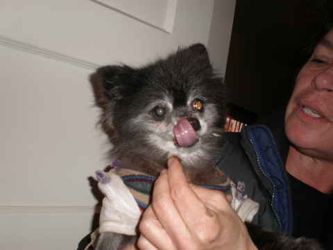Tammy Faye