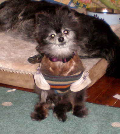 Tammy Faye